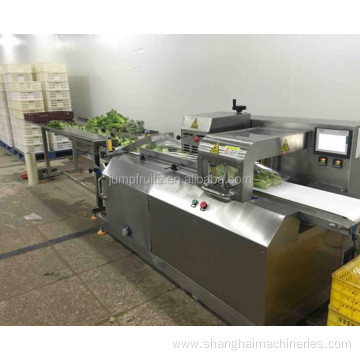 Automatic fresh fruits and vegetable processing equipment